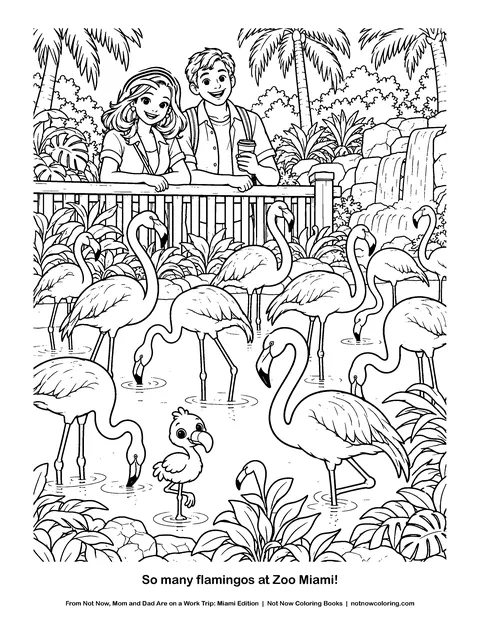 Coloring page: So many flamingos at Zoo Miami!